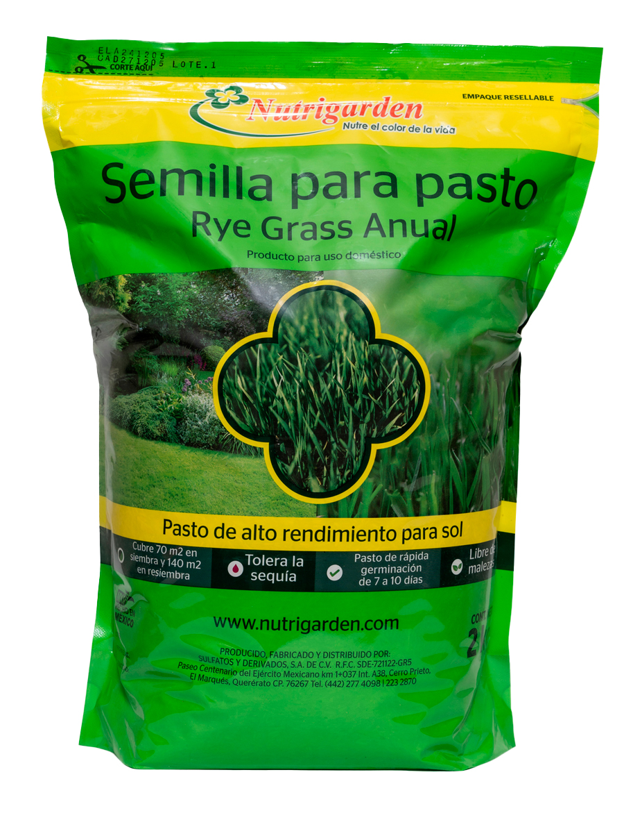 Semilla para pasto Rye Grass Anual